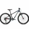 BICICLETA INFANTIL ORBEA MX 24 TEAM 2022